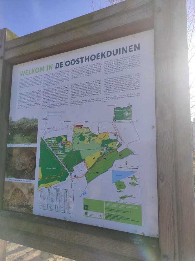 'T Calmeyntje Villa De Panne Eksteriør billede
